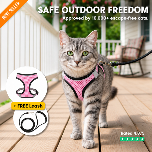 Levora Cat Harness