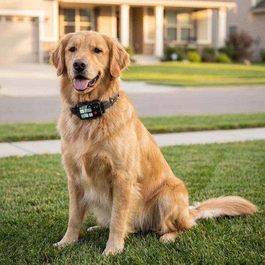Levora GPS Fence Collar