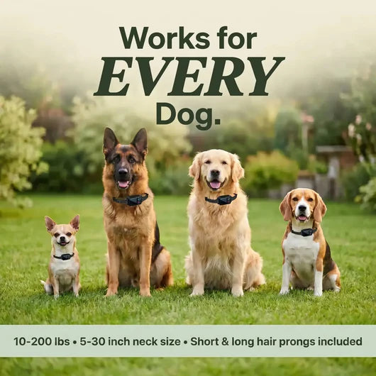 Levora GPS Fence Collar