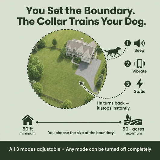 Levora GPS Fence Collar