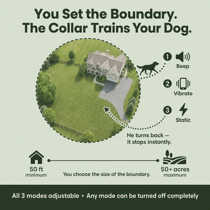 Levora GPS Fence Collar